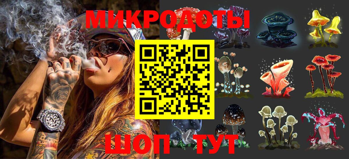Галлюциногенные грибы прущие грибы  Вход с VPN  Заволжье  Псилоцибиновые грибы мухоморы 