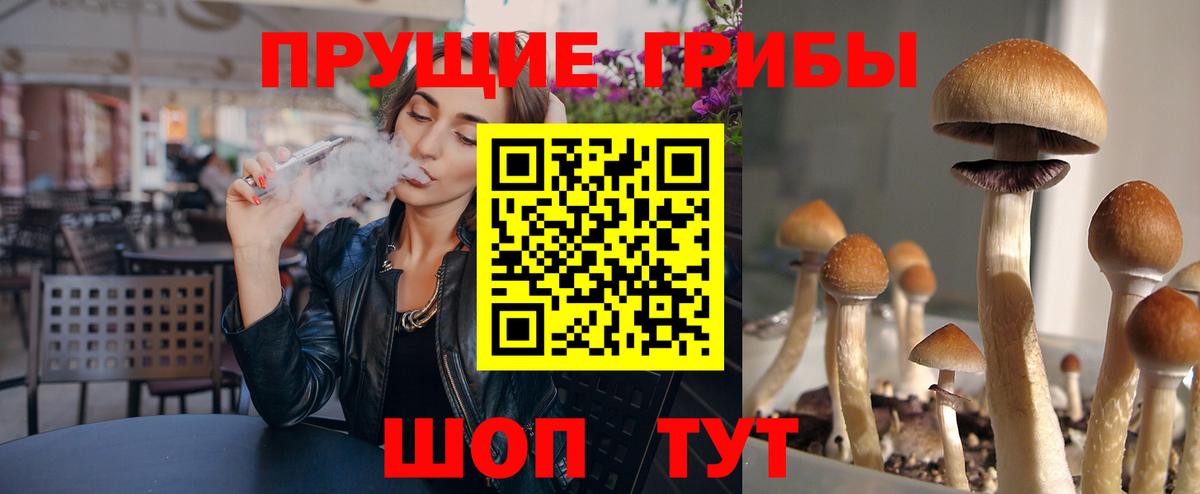 Галлюциногенные грибы MAGIC MUSHROOMS Заволжье